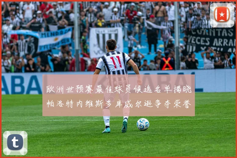 欧洲世预赛最佳球员候选名单揭晓帕洛特内维斯多库威尔逊争夺荣誉