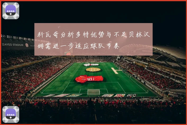 科瓦奇分析多特优势与不足贝林汉姆需进一步适应球队节奏